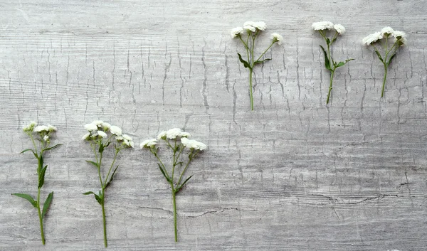Krásné malé kytice na dřevěné pozadí — Stock fotografie