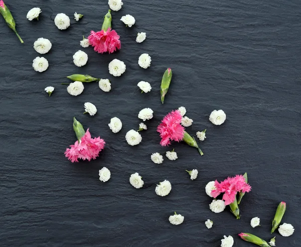 Hermosas flores silvestres pequeñas sobre fondo de madera — Foto de Stock