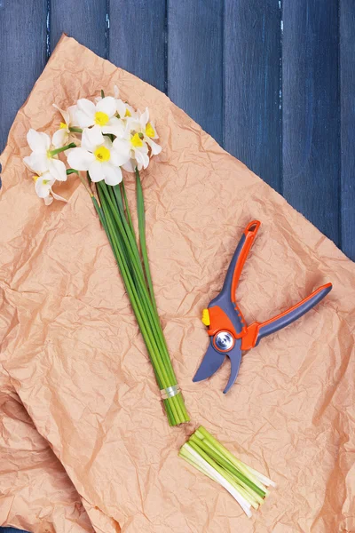 Beautiful daffodils with pruner on paper on wooden table — Stock Photo, Image