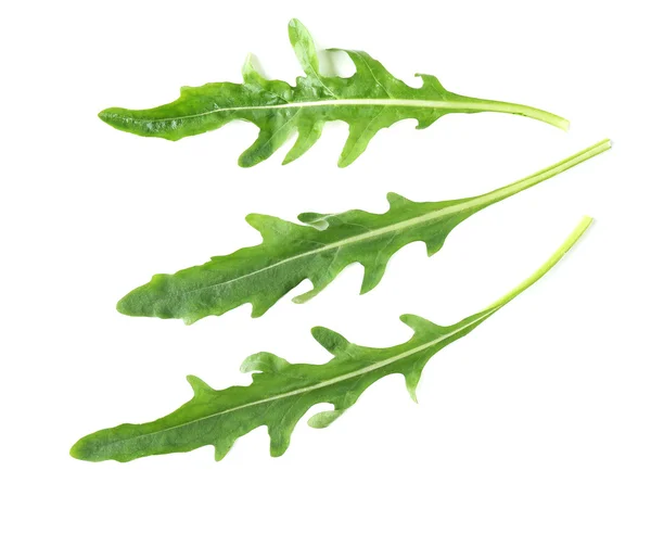 Rukolę zielony liść na białym tle — Zdjęcie stockowe