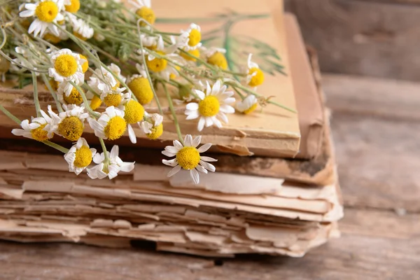 Старые книги с сухими цветами на столе — стоковое фото