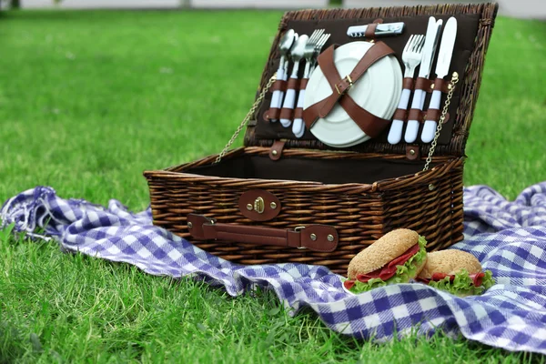 Cesta de picnic de mimbre, sabrosos sándwiches y cuadros en hierba verde, al aire libre — Foto de Stock