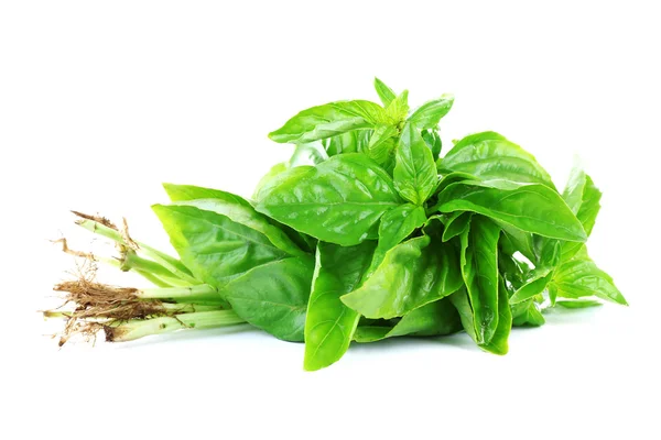 Fresh basil leaves isolated on white — Stock Photo, Image