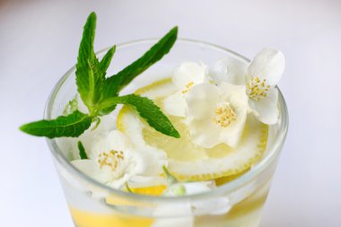 canlandırıcı yaz içeceği