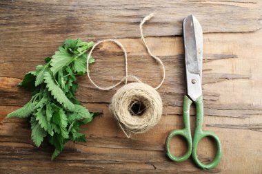 Oğul otu yaprakları