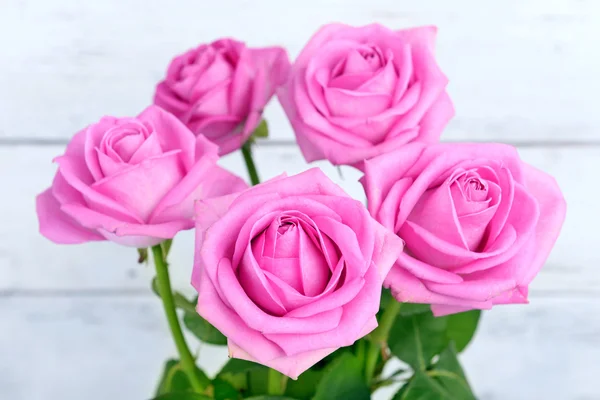 Rosas cor-de-rosa bonitas, close-up — Fotografia de Stock