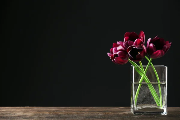 Belas tulipas roxas em vaso de vidro no fundo preto — Fotografia de Stock