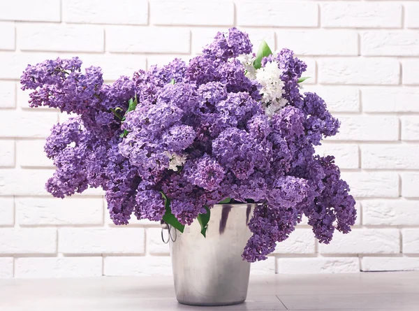 Mooie lila bloemen in de kamer close-up — Stockfoto