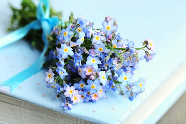 Dimenticami i fiori sul libro, chiudi — Foto Stock