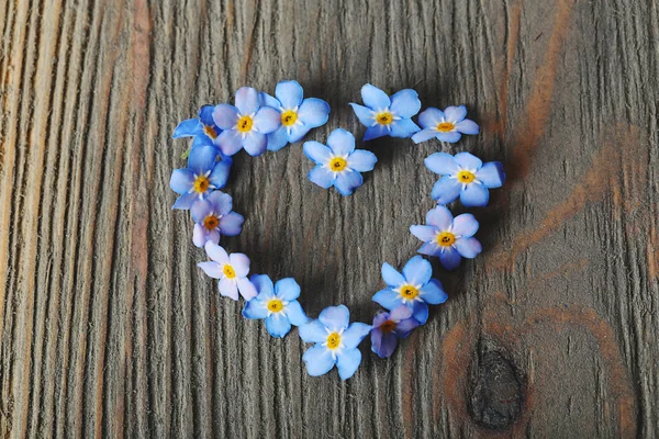 Forget-me-nots flowers on wooden background — Stock Photo, Image