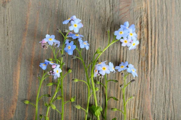 Forget-me-nots flowers on wooden background — Stock Photo, Image