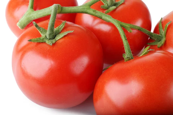 Куча свежих помидоров, крупный план — стоковое фото