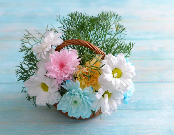 Bunte Chrysanthemen im Korb auf Holzgrund — Stockfoto