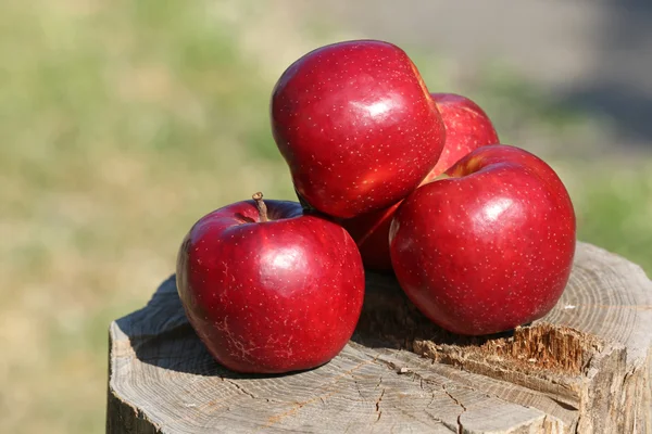 Ripe red apples on stump outdoors — Stock Photo, Image