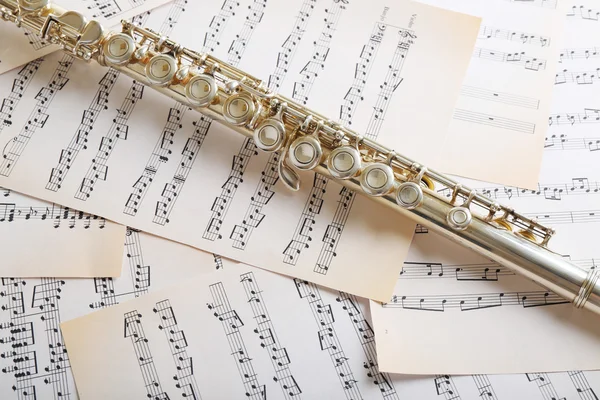 Flute on music notes background — Stock Photo, Image