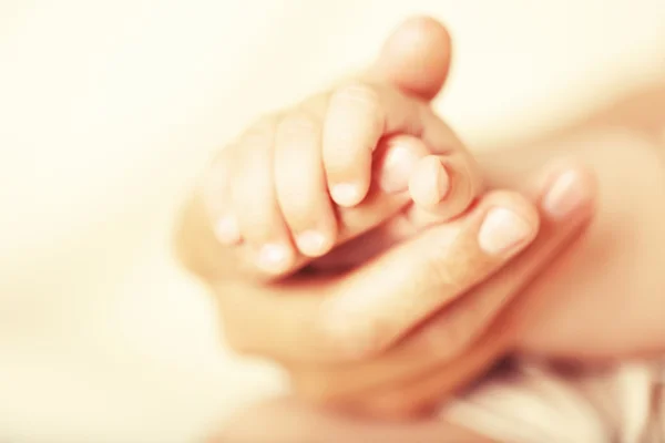 Ενηλίκων και μωρών χέρια — Φωτογραφία Αρχείου
