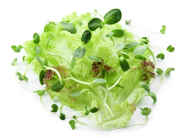 Verse gemengde groene salade geïsoleerd op wit — Stockfoto