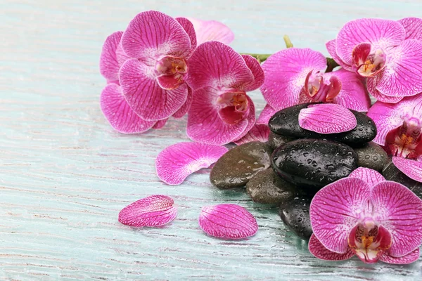 Lila orchidea és a zen kő — Stock Fotó