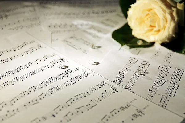 Beautiful rose on music sheets — Stock Photo, Image