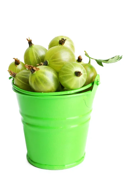 Grosella verde en cubo aislado en blanco — Foto de Stock