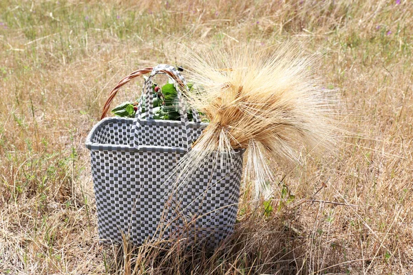 Mooie tas met eerstelingsgarve — Stockfoto