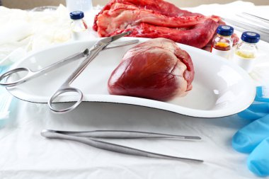 Kalp organ içinde tıbbi metal tepsi