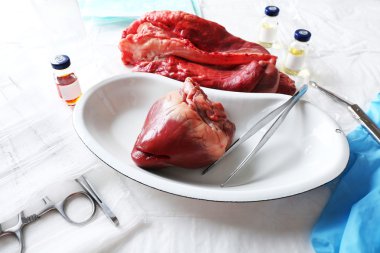 Kalp organ içinde tıbbi metal tepsi