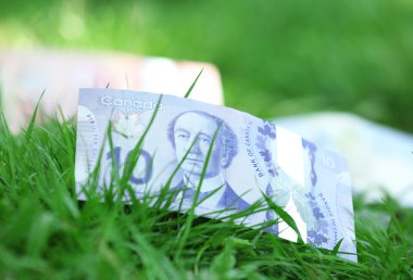 Çim üzerinde banknot para