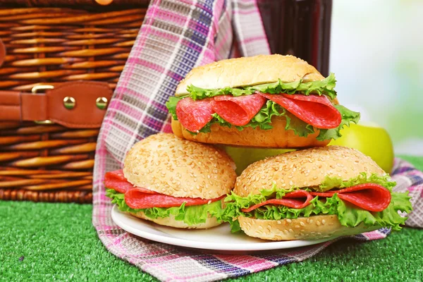 Tasty sandwiches near wicker picnic basket on green grass on blue background — Stock Photo, Image