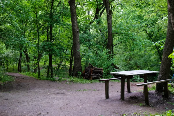 Mesa de madera y racimos en un hermoso bosque —  Fotos de Stock