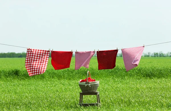 Laundry line with clothes in field Stock Image