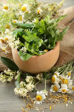 otlar, meyveler ve çiçekler