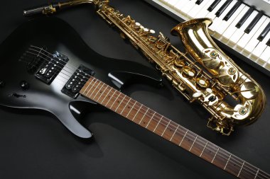 Müzik aletleri, portre