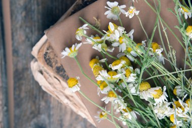 Kuru çiçekler ile eski kitap