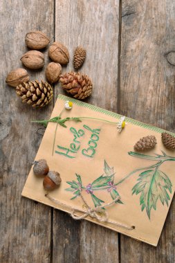 Koniler ve papatya ile eski kitap