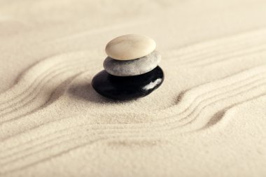 Zen bahçe taşları ile