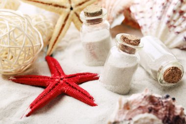 Kum üzerinde güzel deniz kabuklarını