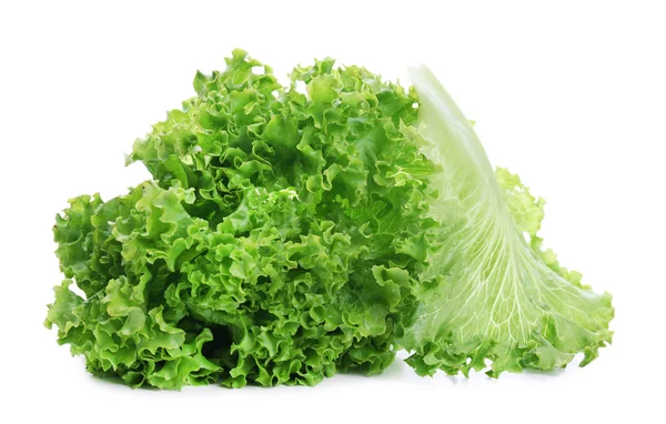 Fresh lettuce isolated on white — Stock Photo, Image