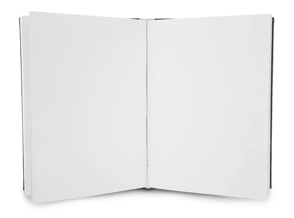 白で隔離される単一の本 — ストック写真