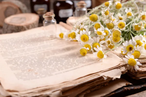 Старая книга с сухими цветами и бутылками — стоковое фото