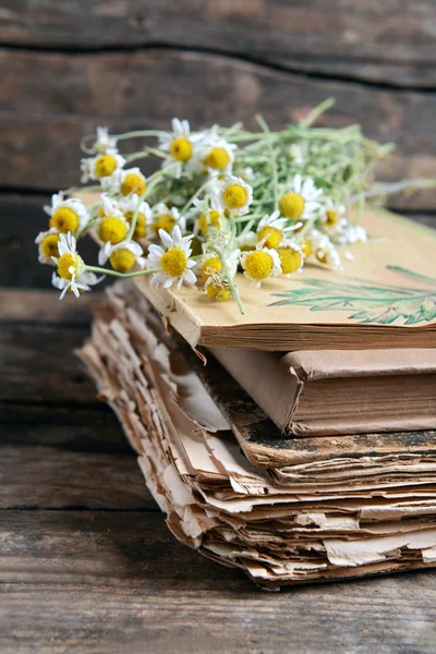 Oude boeken met droge bloemen — Stockfoto