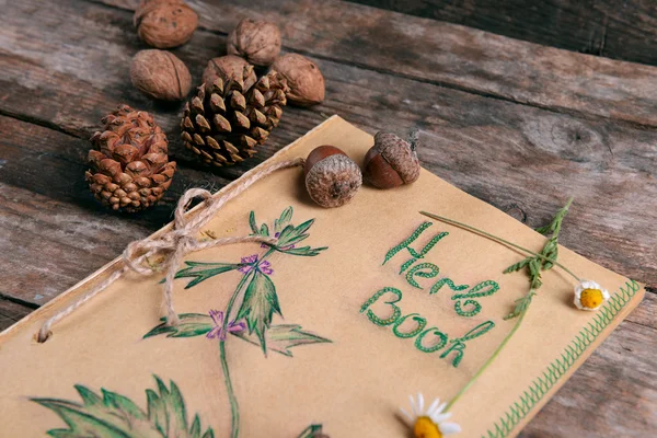 Oud boek met kegels en kamille — Stockfoto