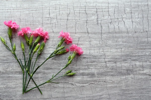 Hermosas flores silvestres pequeñas sobre fondo de madera —  Fotos de Stock