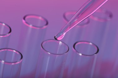 Renk arkaplanı üzerinde test tüpleri