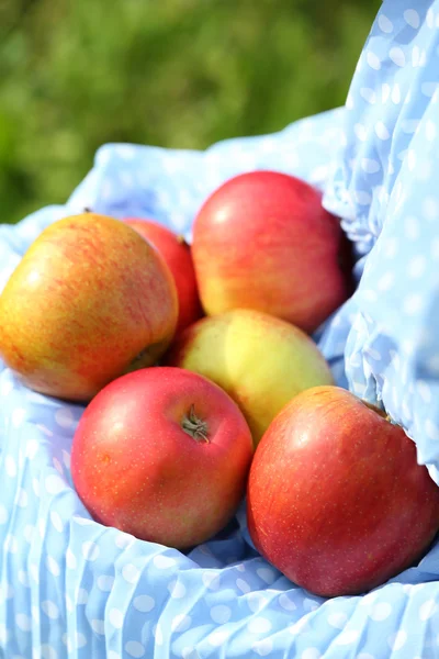 Red apple in hemline of female clothing, closeup — Stock Photo, Image