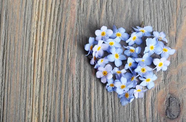 Незабудки цветы на деревянном фоне — стоковое фото