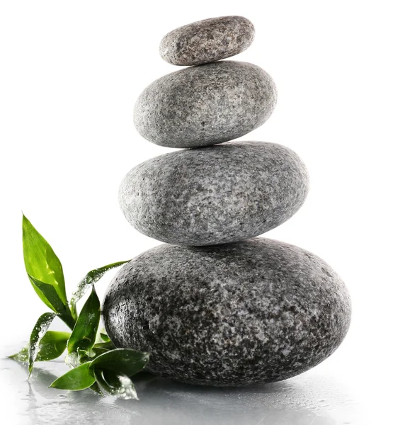 Stack of spa stones with green leaves — Stock Photo, Image