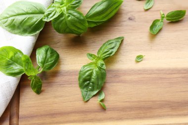 Yeşil taze fesleğen