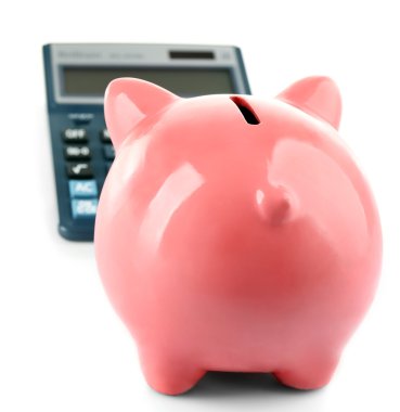 Hesap makineli domuz kumbarası