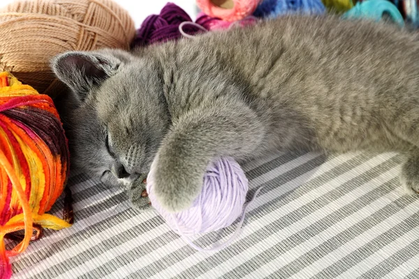 Котенок с разноцветными шариками ниток — стоковое фото